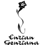 Hotel Enzian