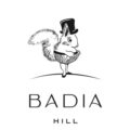 Hotel Badia Hill